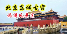 免费看BB内射视频中国北京-东城古宫旅游风景区